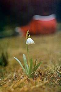 200x300-pu21