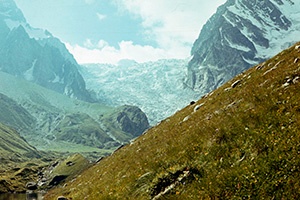 de19